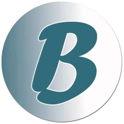 Bay Web Design Logo
